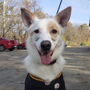 Meet your Posher, Sean